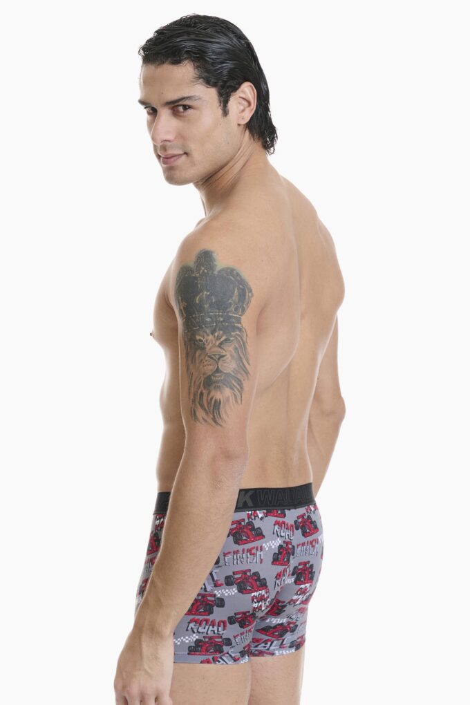 Μπόξερ με σχέδιο