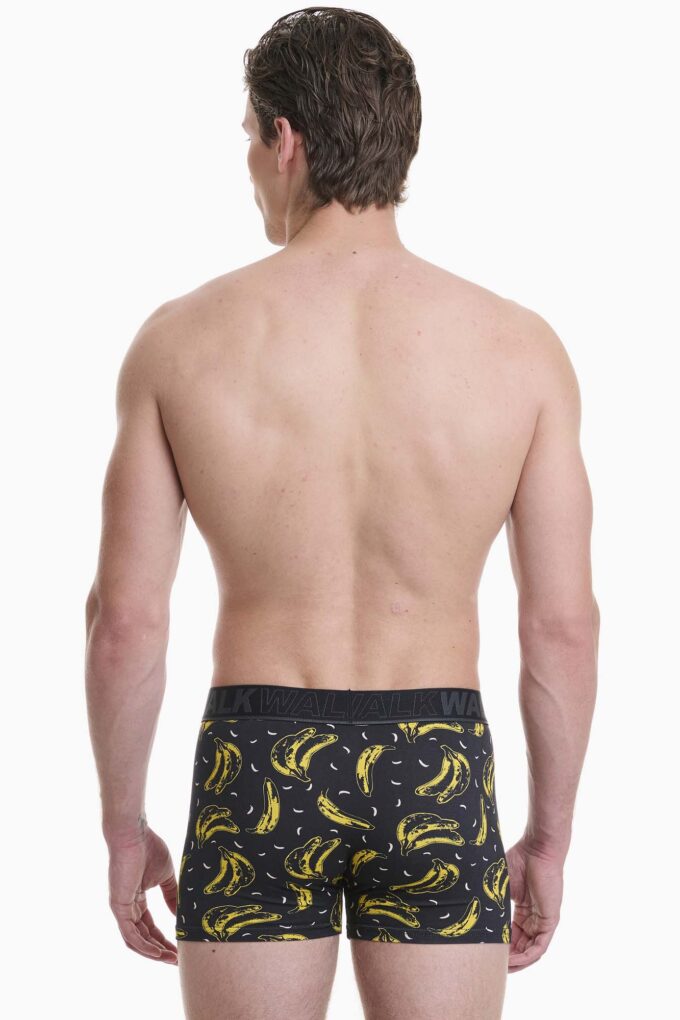 Μπόξερ με σχέδιο